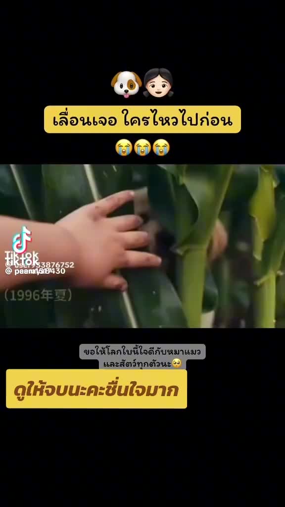 @ตุ้ม จันทาพูน