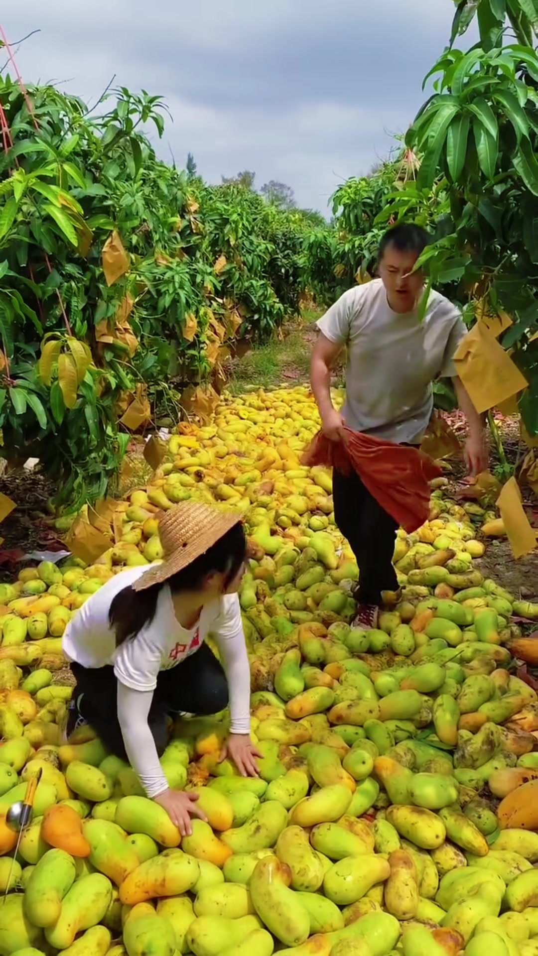 @Fruit happy