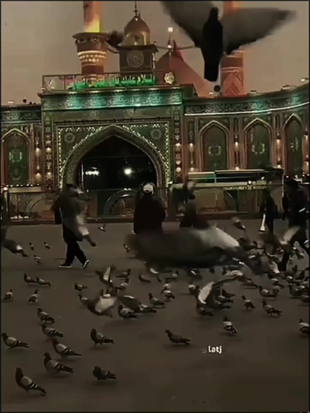 @Syed amir gillani 121472