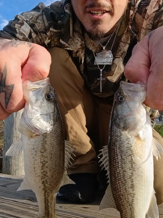 @Dirte's Tackle Shack