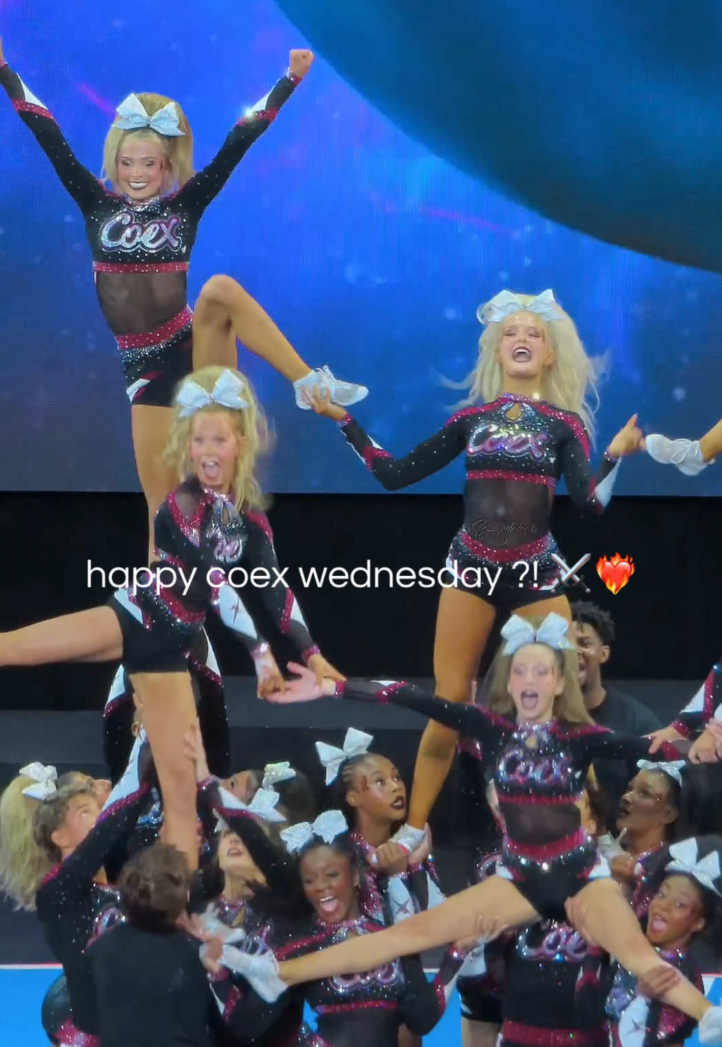 @senior elite