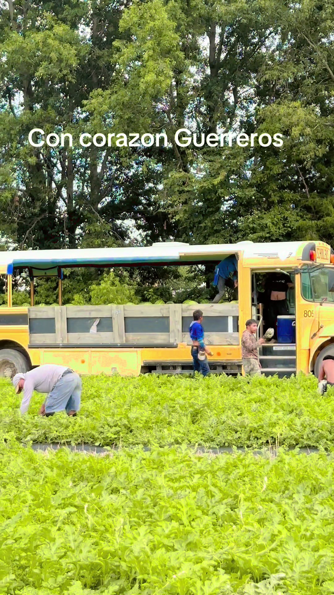 @Juan Ochoa cosechando con amor