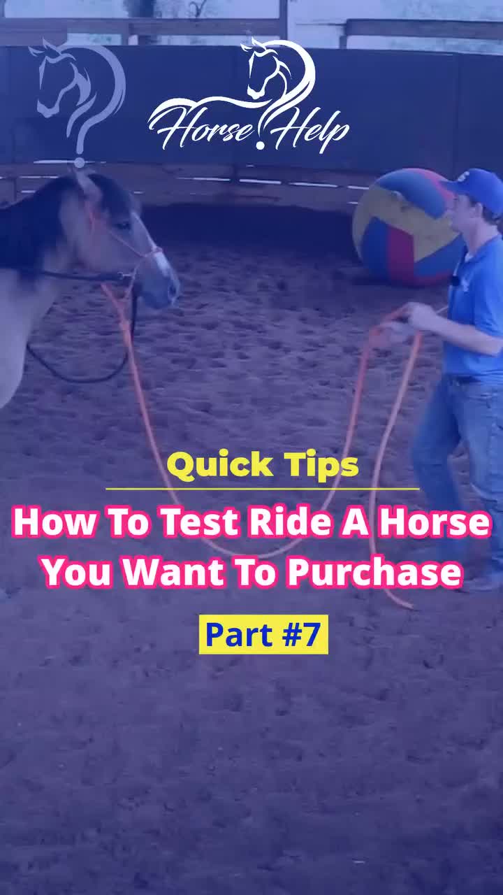 @Horse Help