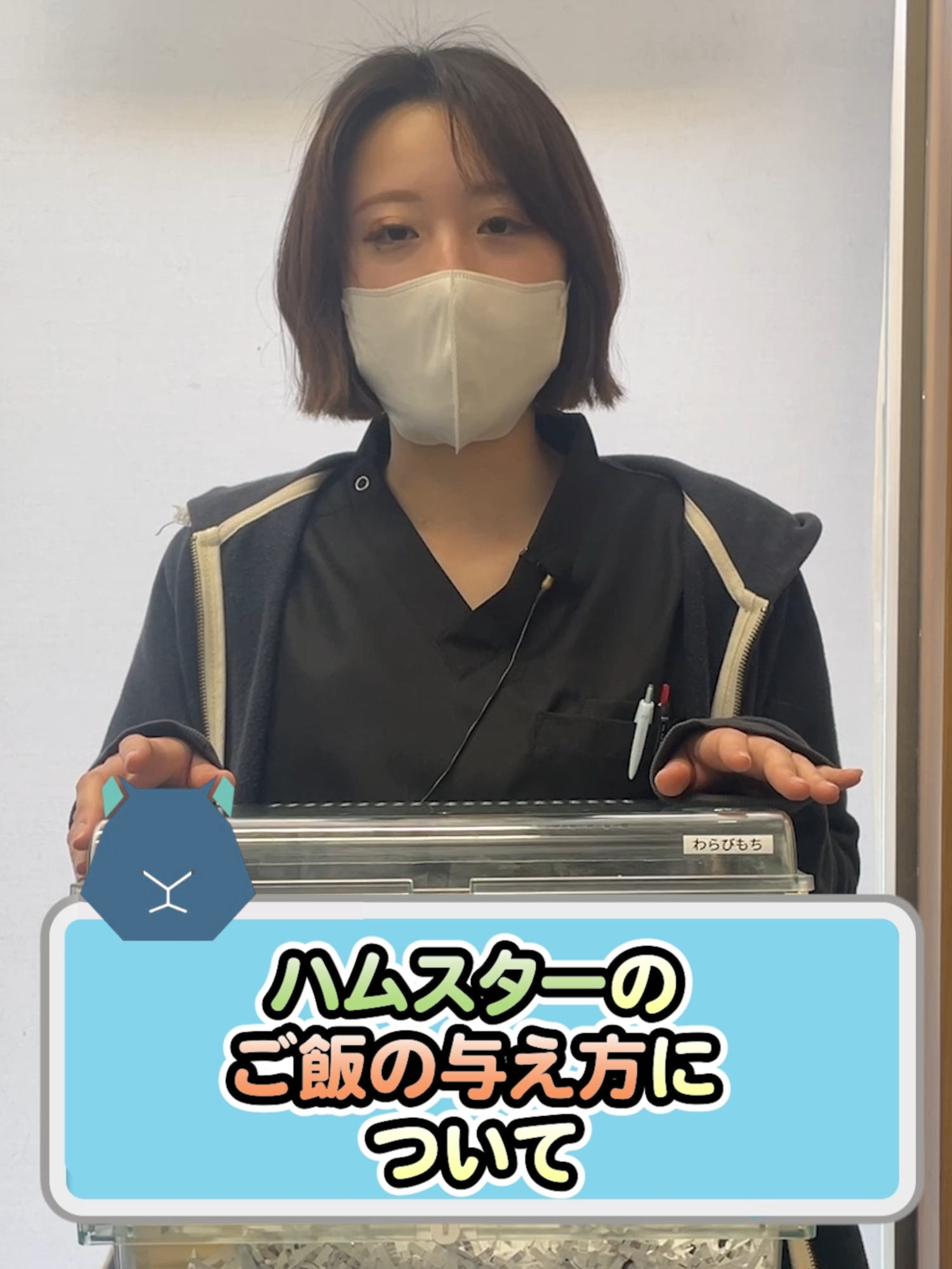 @オダガワ動物病院