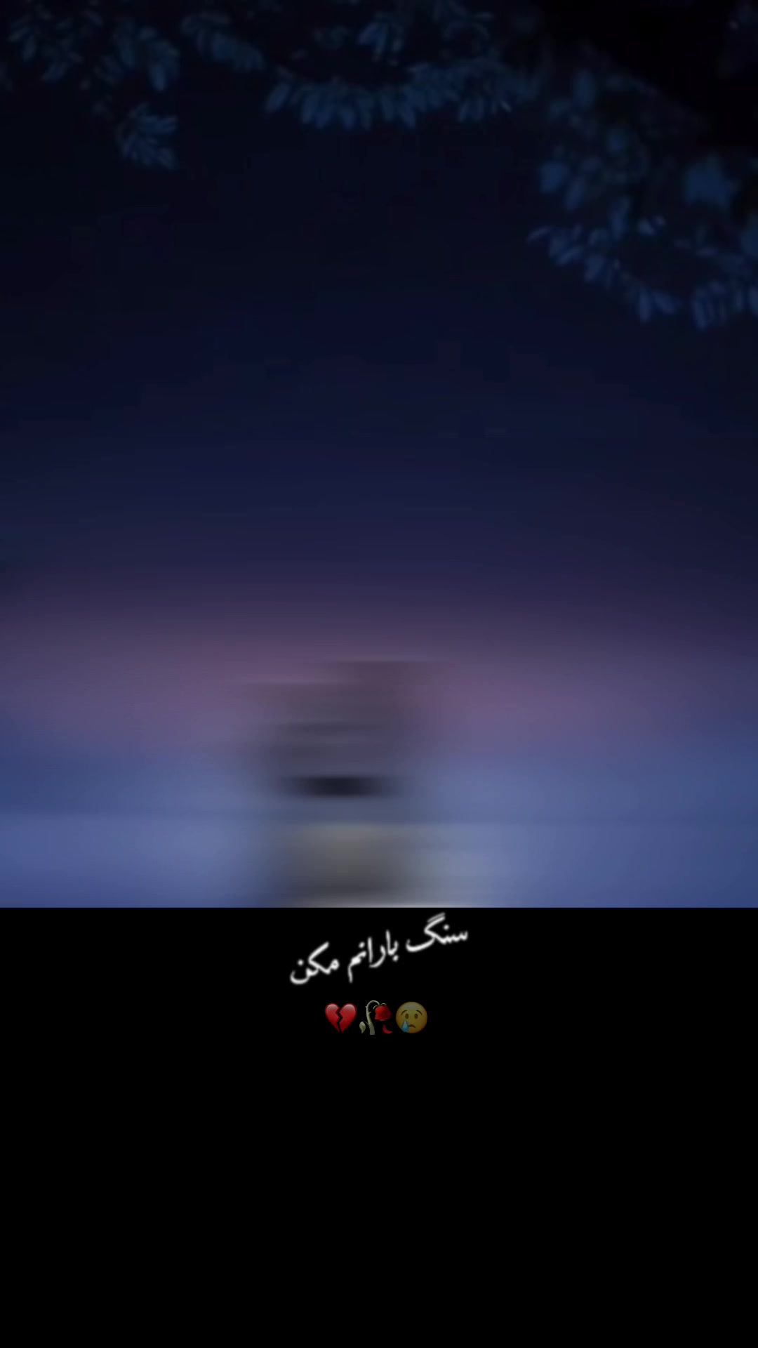 @AfghanGull 🇦🇫🌺