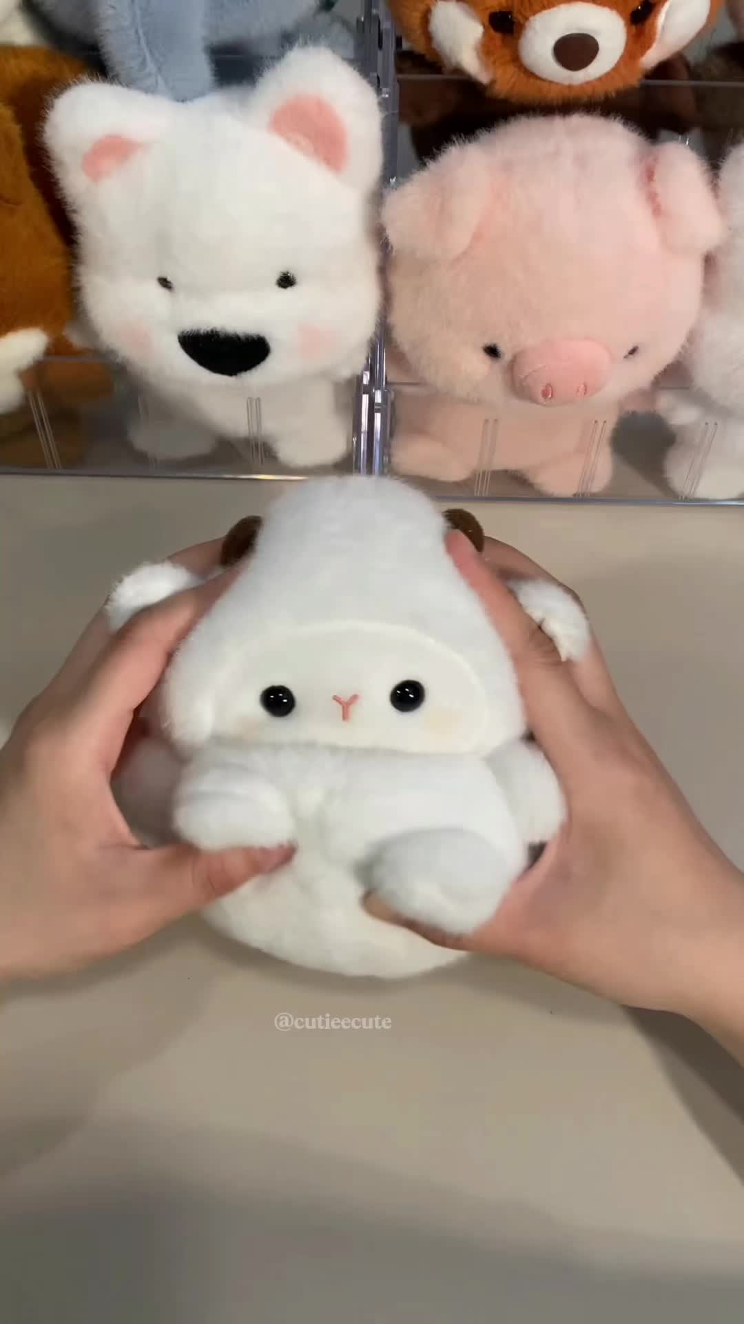 @Cutieecute_
