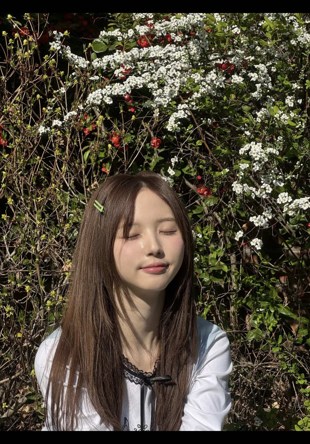 @priscilla ౨ৎ