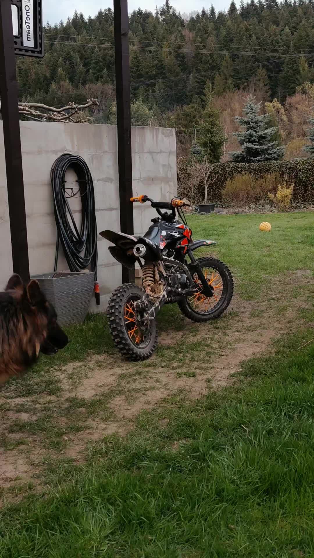 @👍🏻