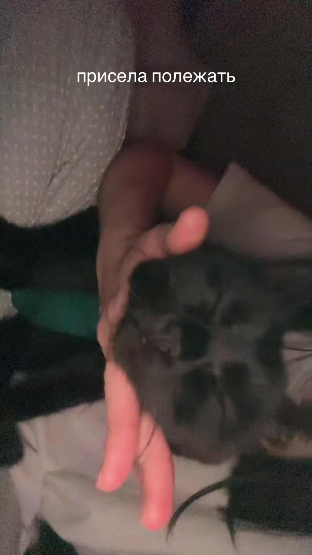 @Рая блин не из рая😫