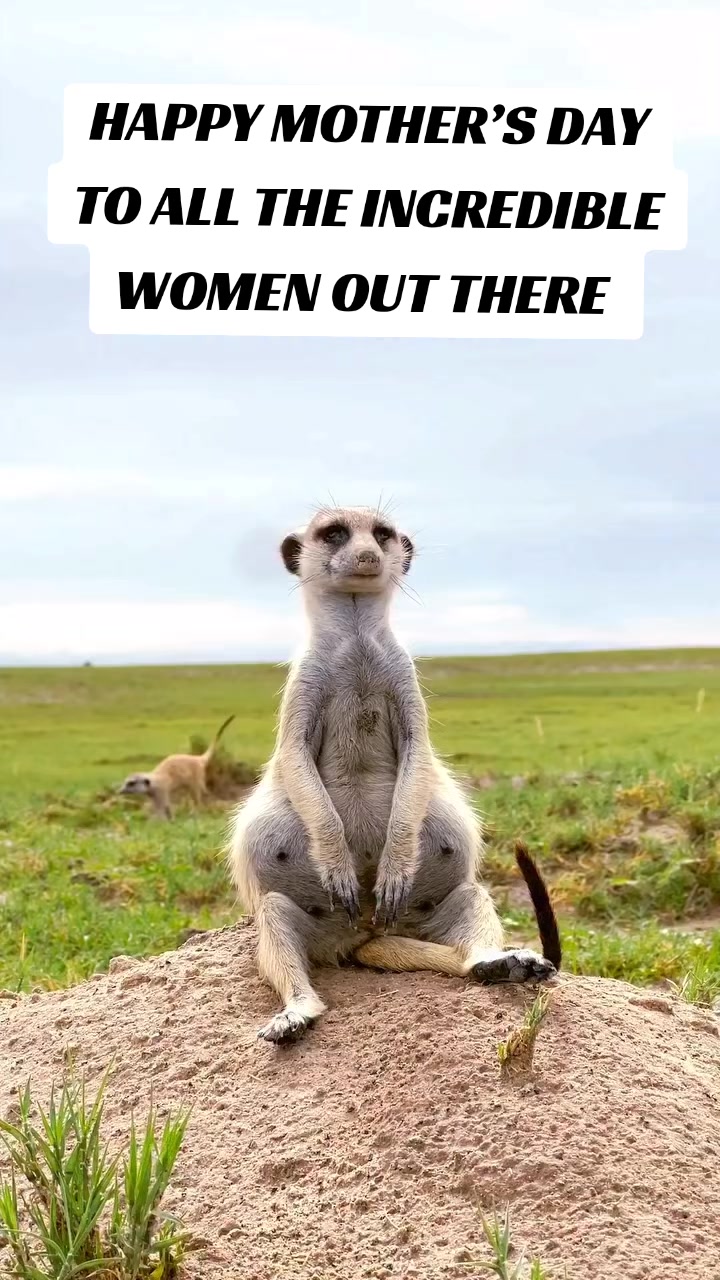 @Nesh Tours and Safaris
