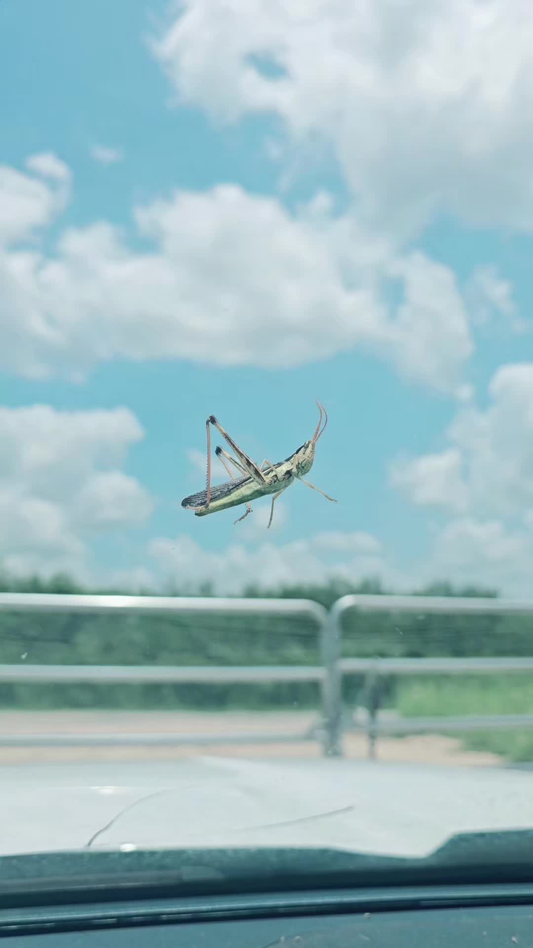@B