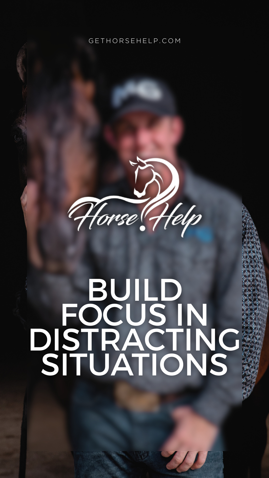 @Horse Help