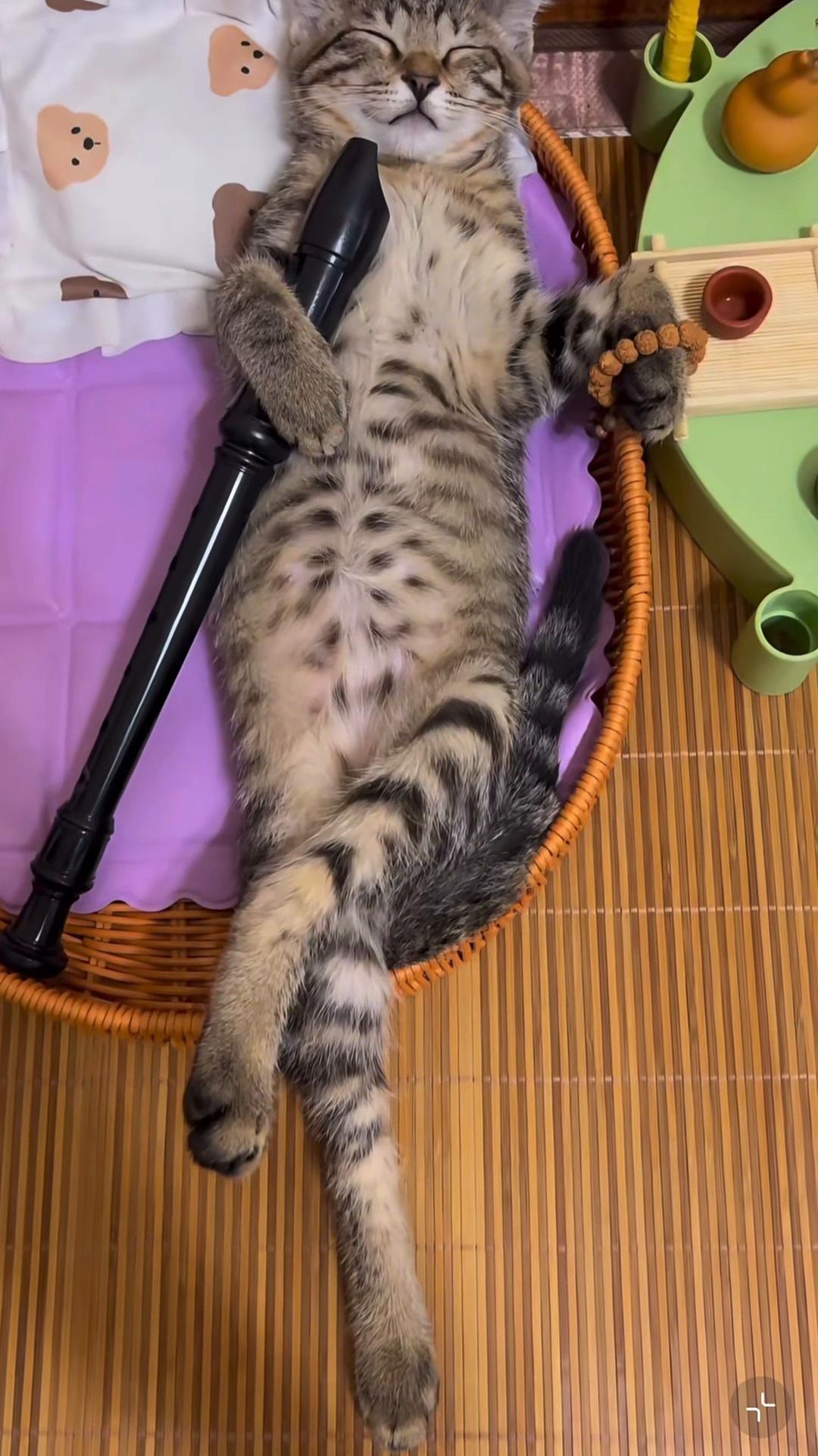 @My Daily Dose of Aww