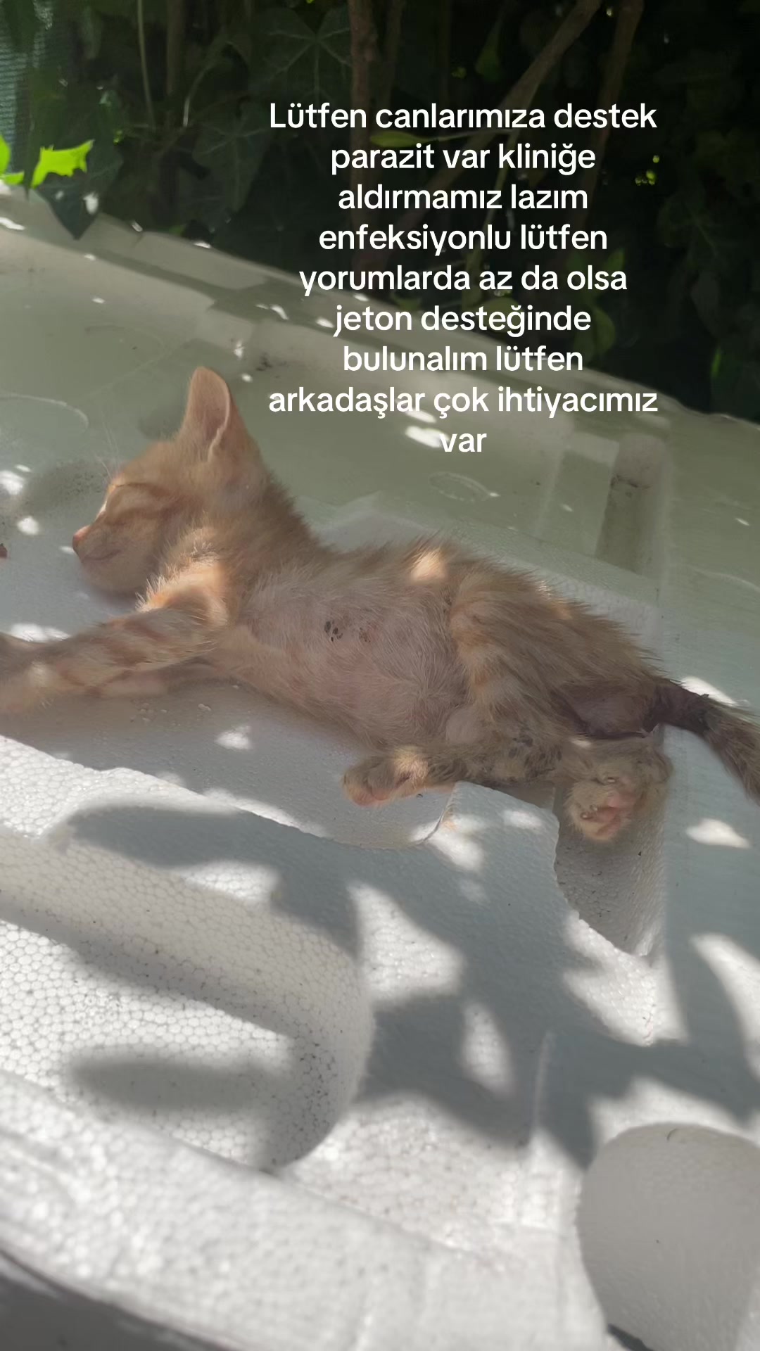 @kedidestekk00
