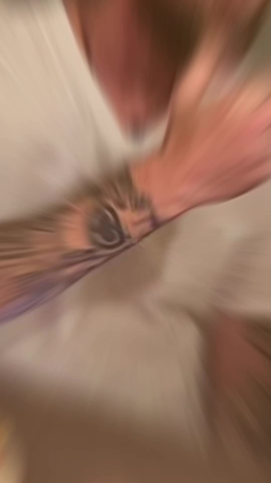 @🐦🔥Ƒʉͫcͧкͭιͪηͣ Spitfire🐦🔥