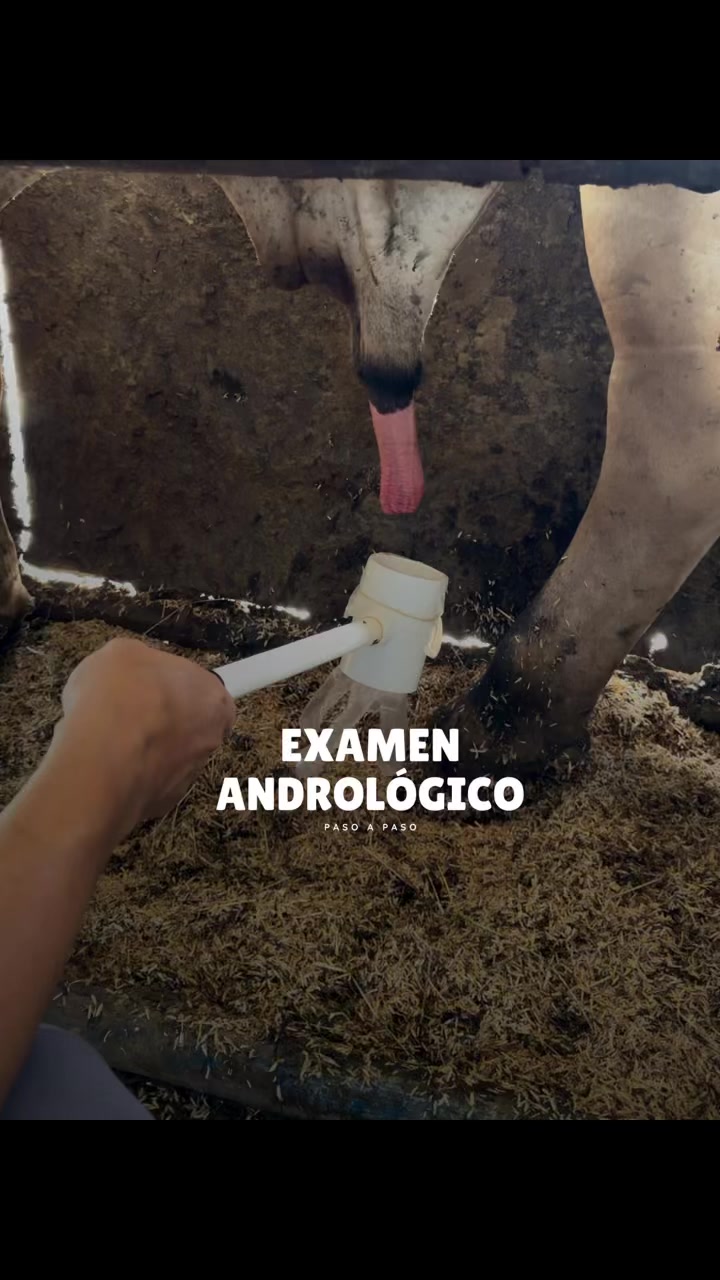 @Rehagronegocios