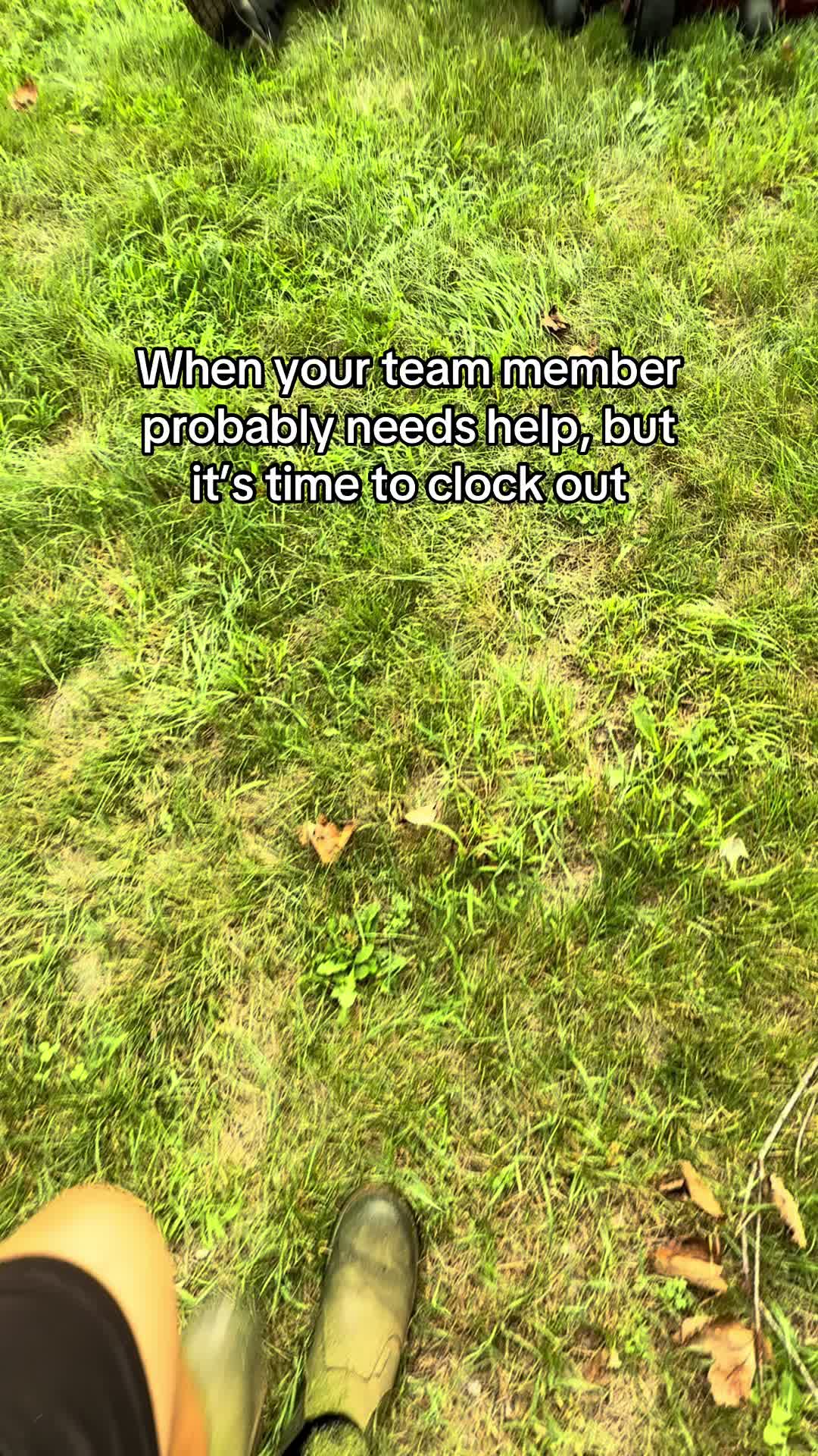 @Even Stevens Lawn Care