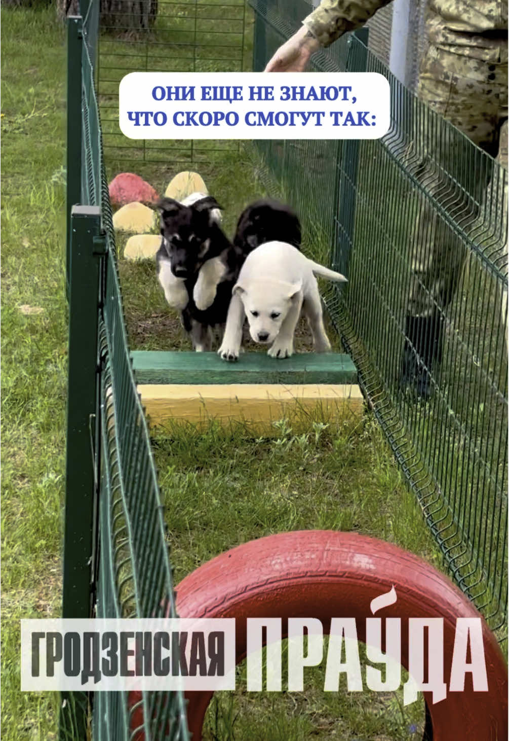 @Гродненская правда