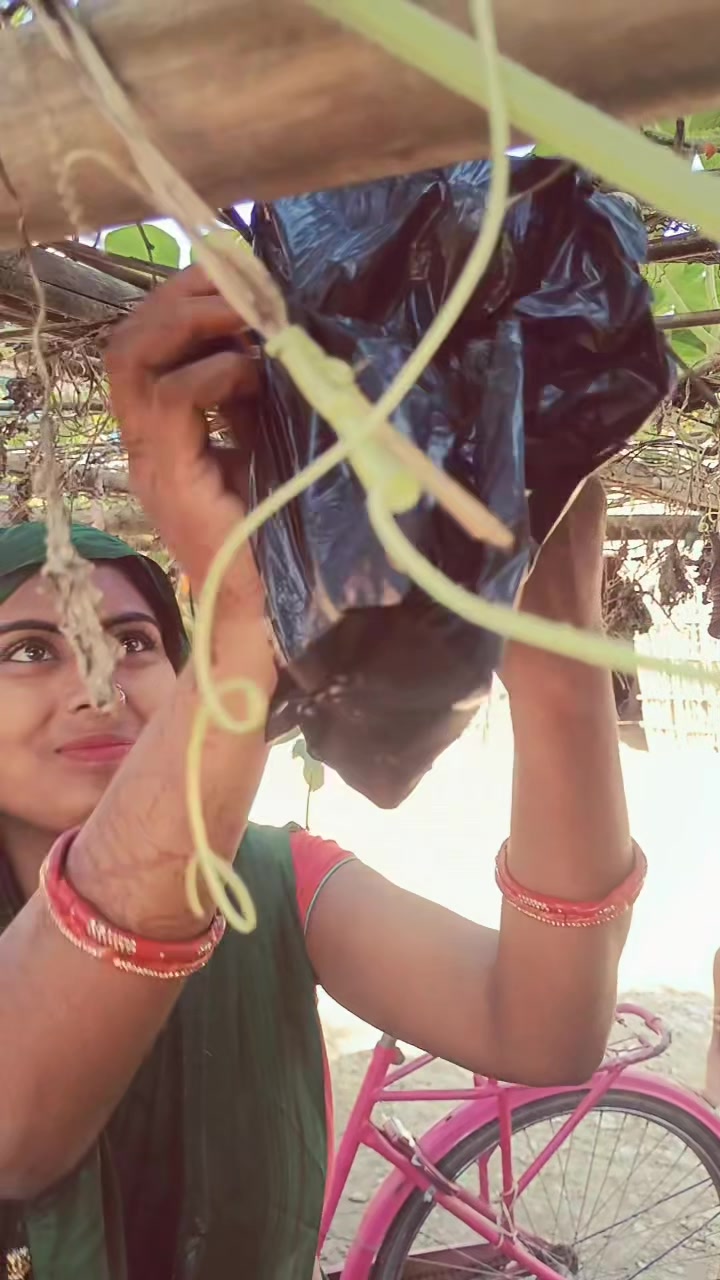 @parwati mehta