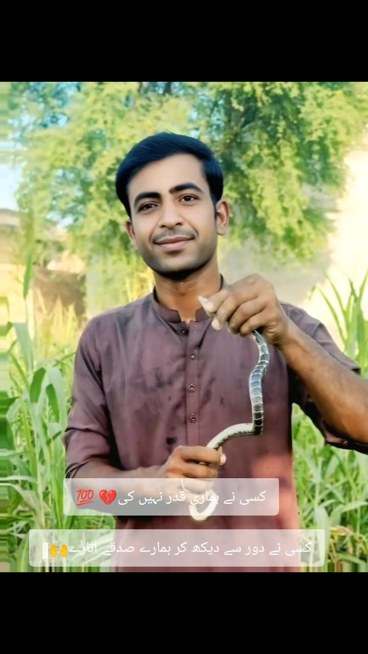 @Ans Leghari