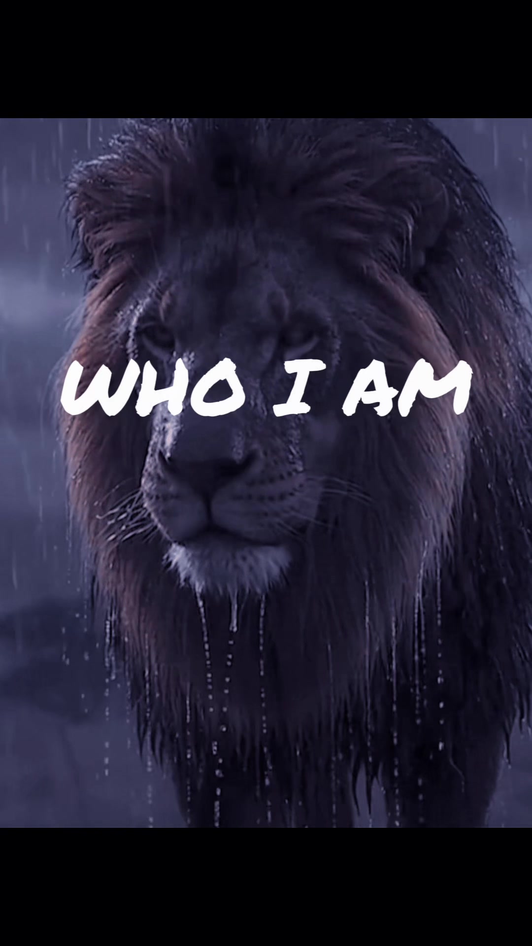 @Lion@Mind