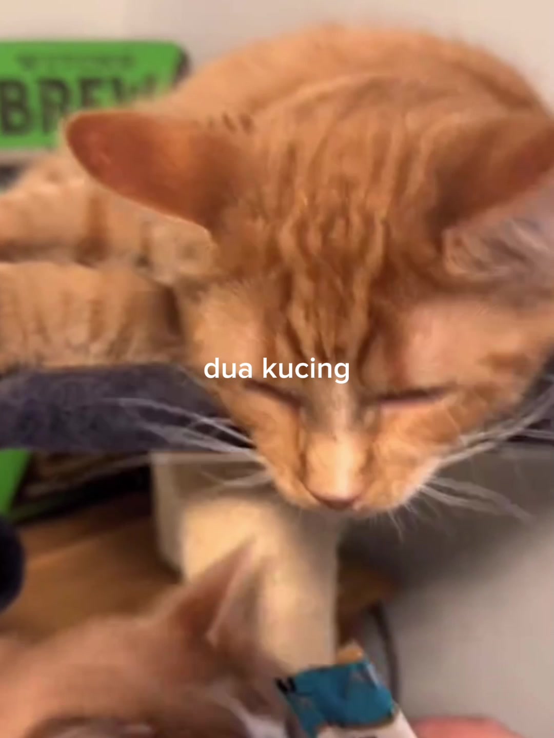 @JIMMY