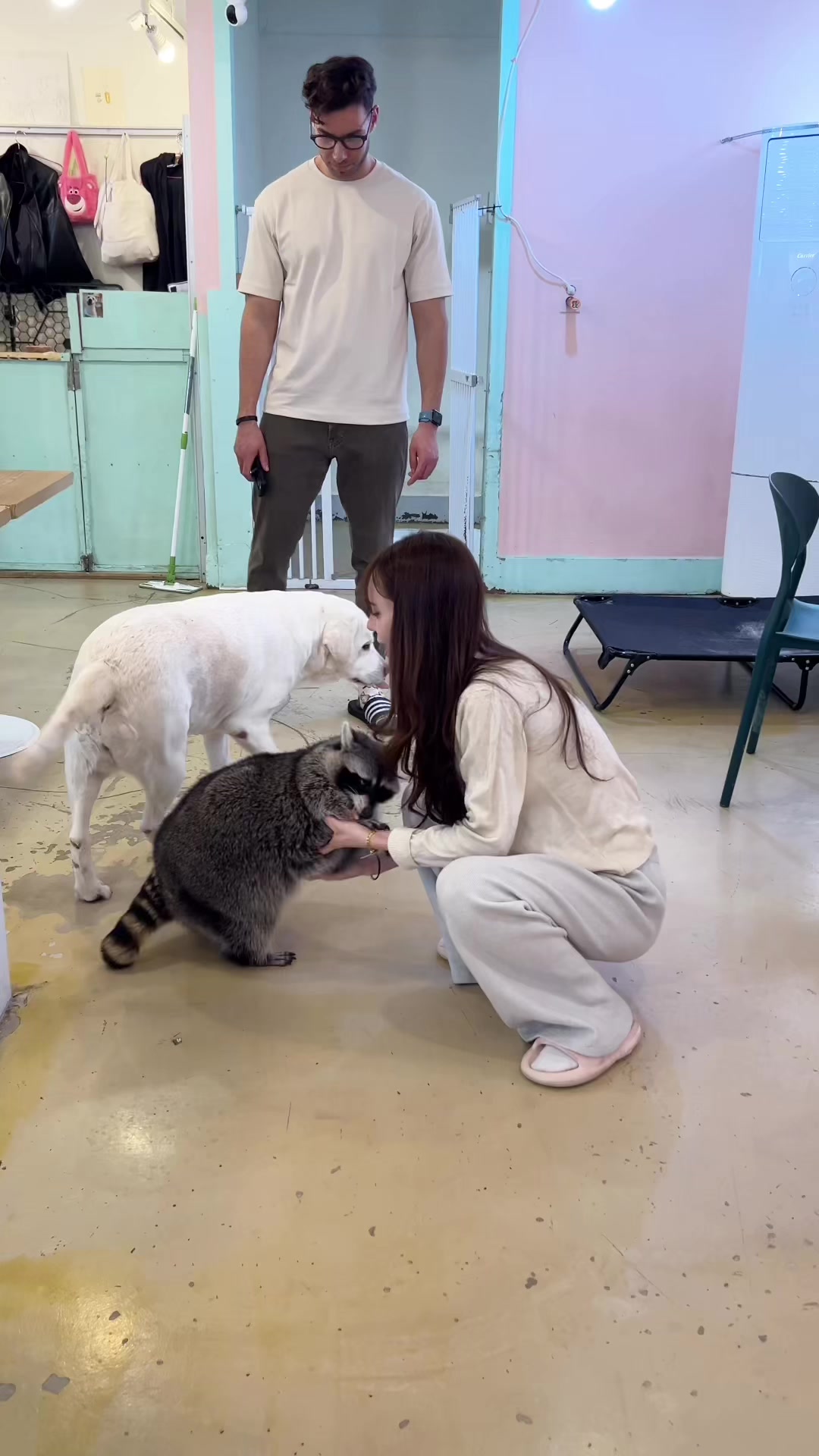 @미어캣족장