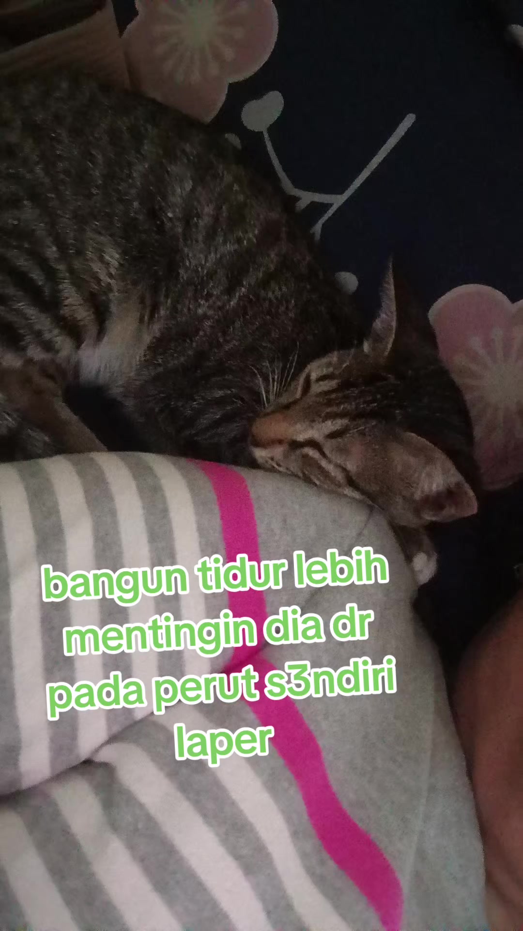 @toko sembako elifah syifah