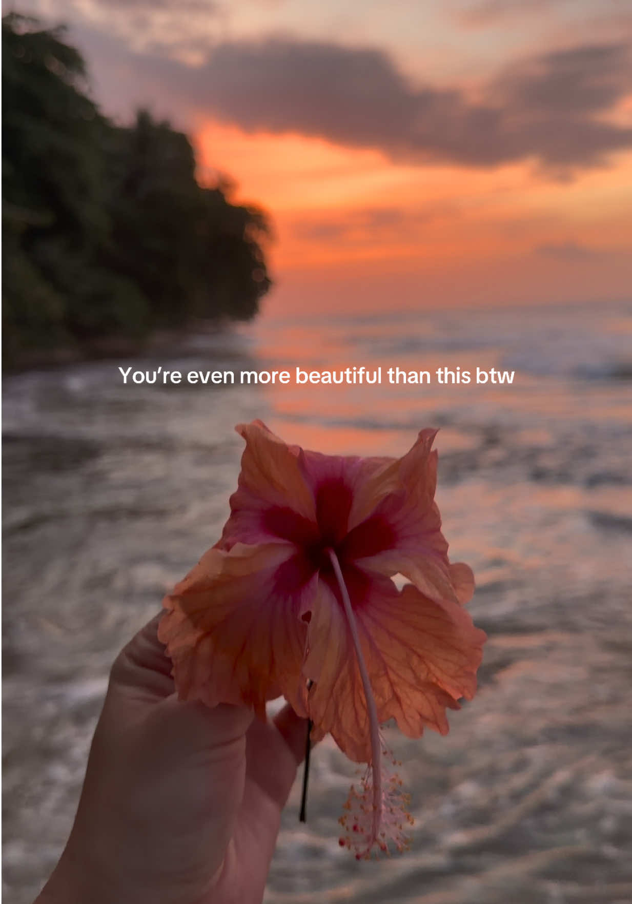@Tiffany🧚🏽♀️🌍✨