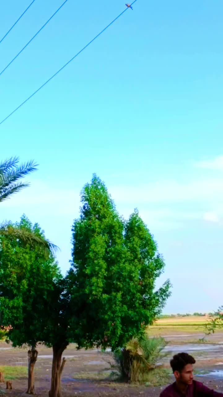 @user3258826833425