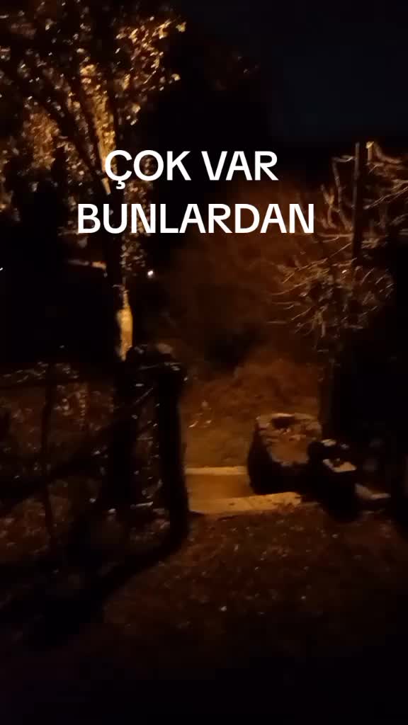 @M&Uuml;SL&Uuml;MC&Uuml; 41 🟡🇹🇷🔵