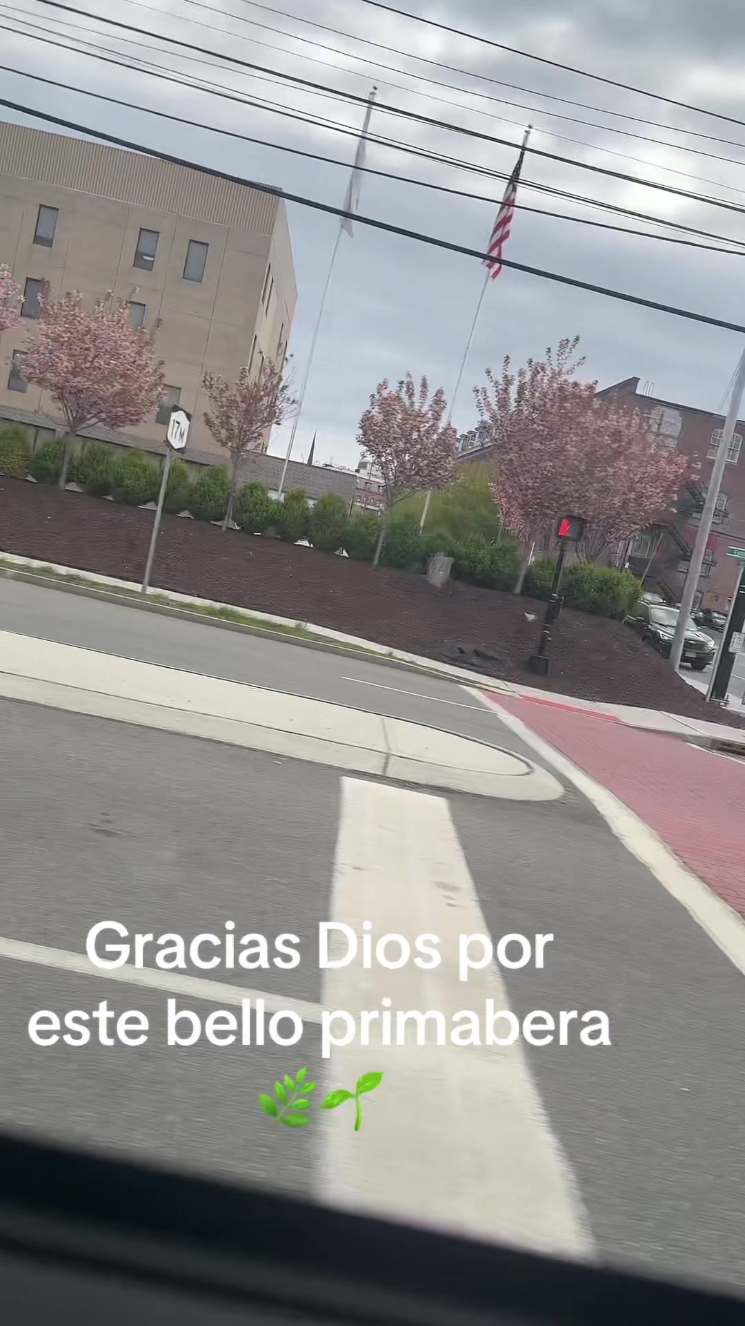 @Rous 🍀