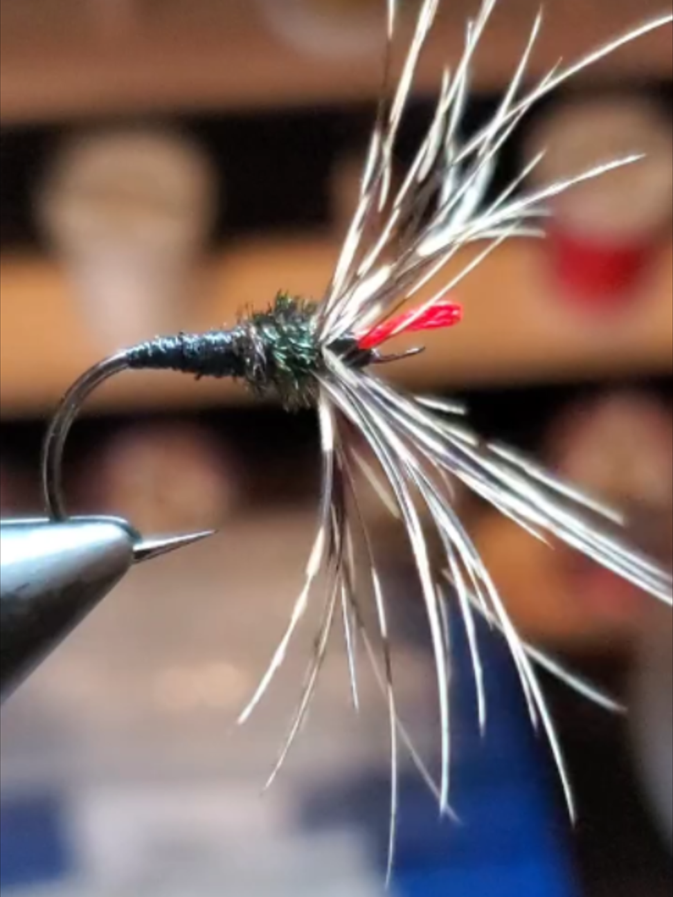 @veevusFishing