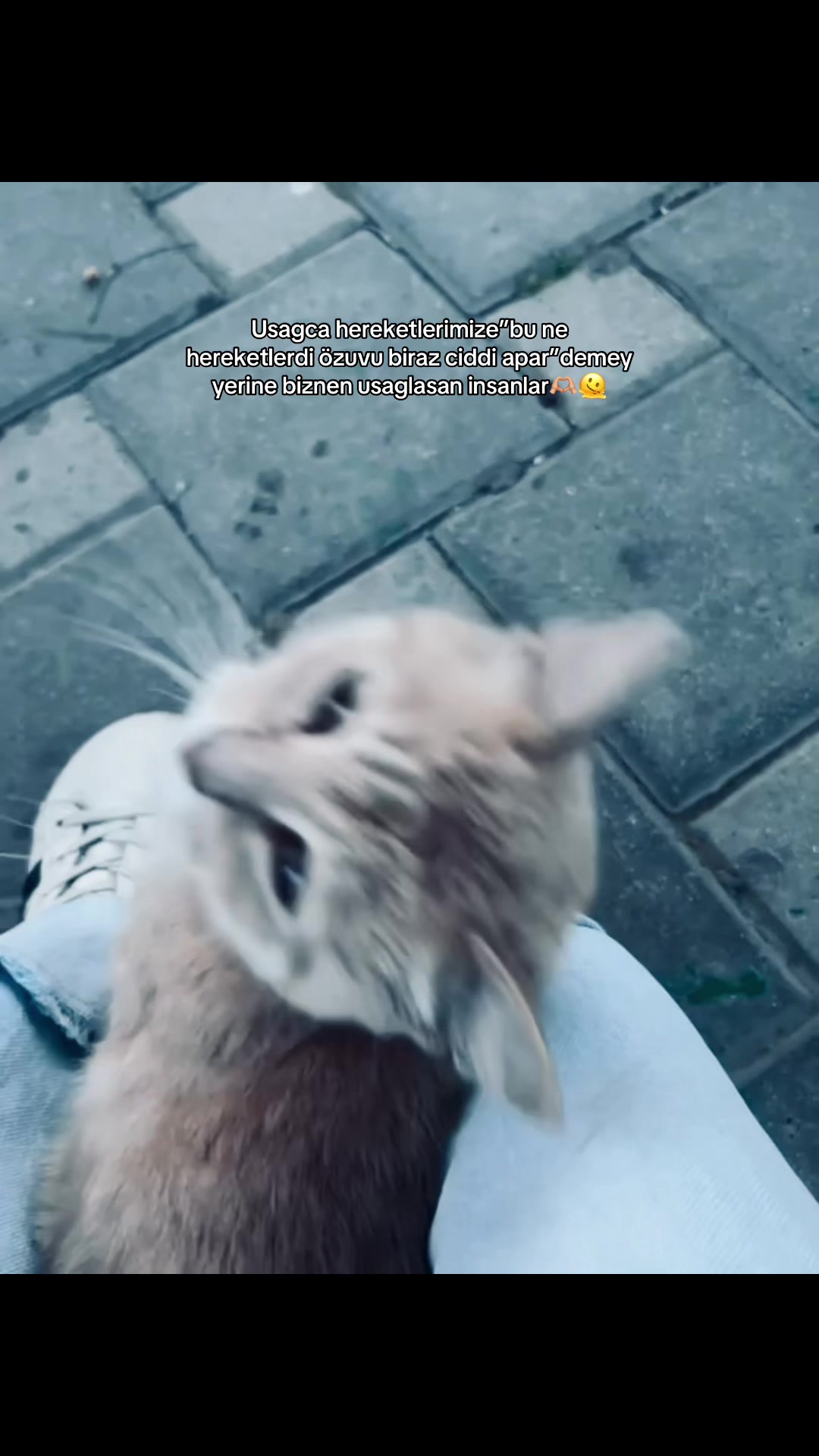 @𝐇.