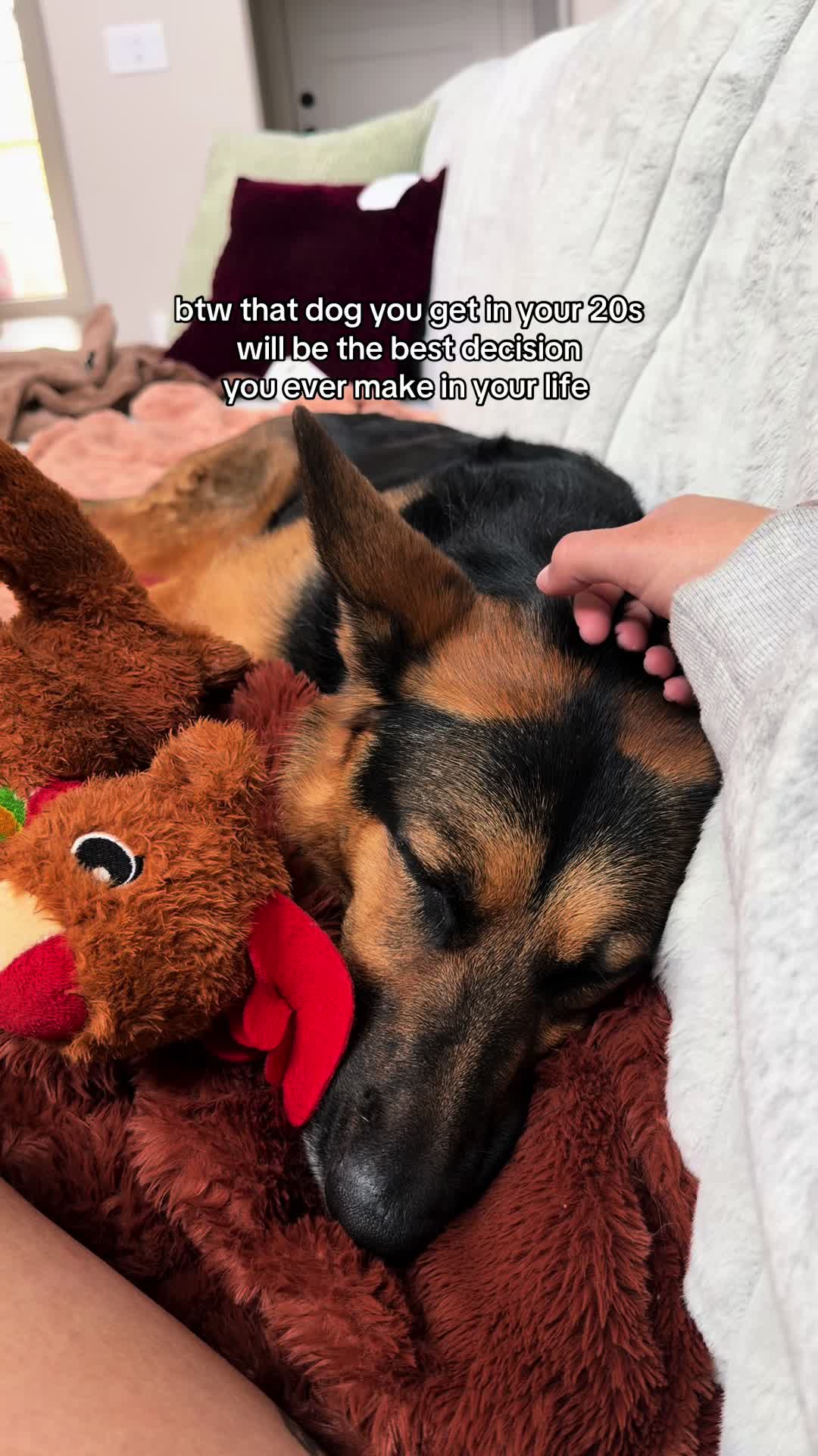 @Rory The Not-Working GSD