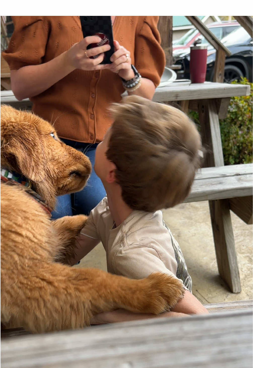 @Good Boy Bodhi 🦁