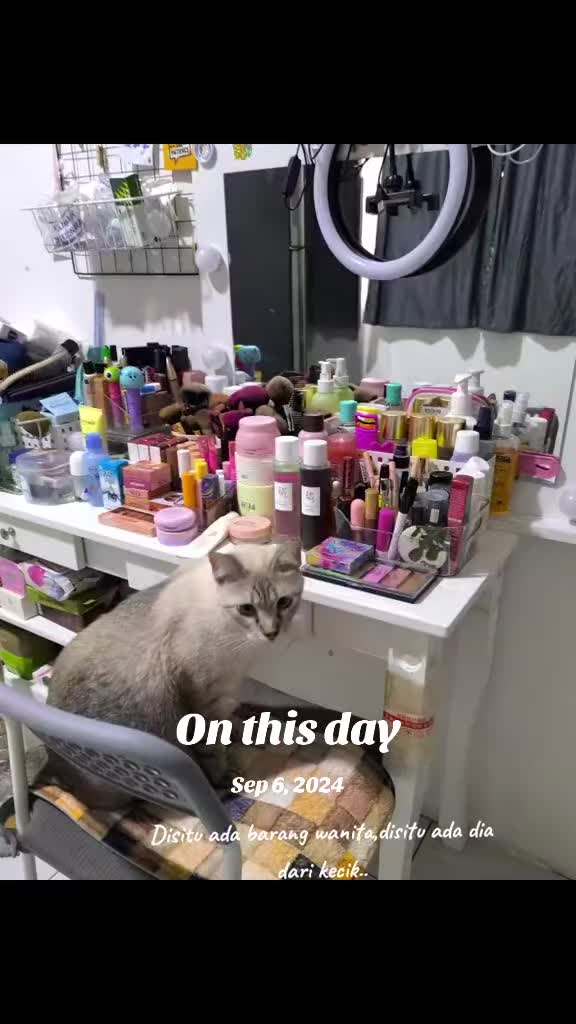@🦋🐈&zwj;⬛Mizz Mommy Meows🐈&zwj;⬛🦋