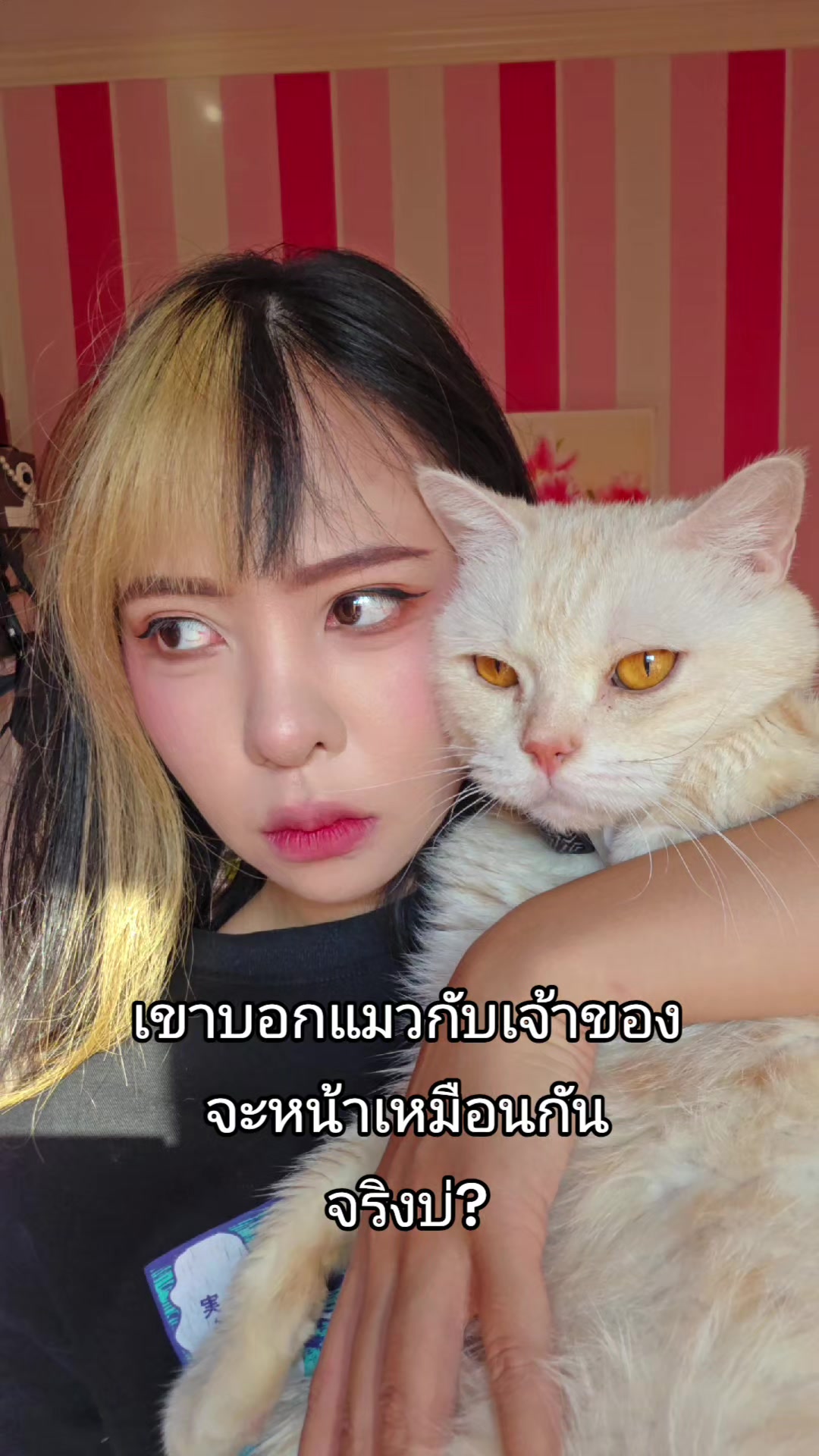 @NNEWCHII