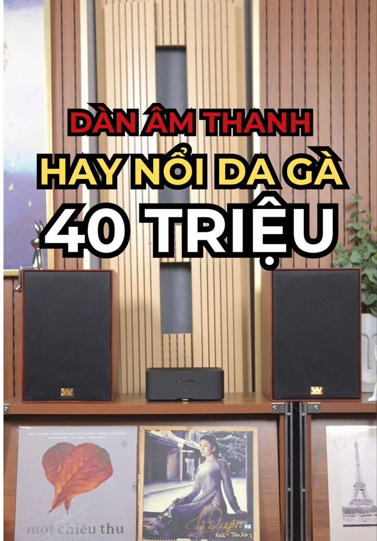 @D&aacute;t V&agrave;ng M&agrave;ng Nhĩ 🎼