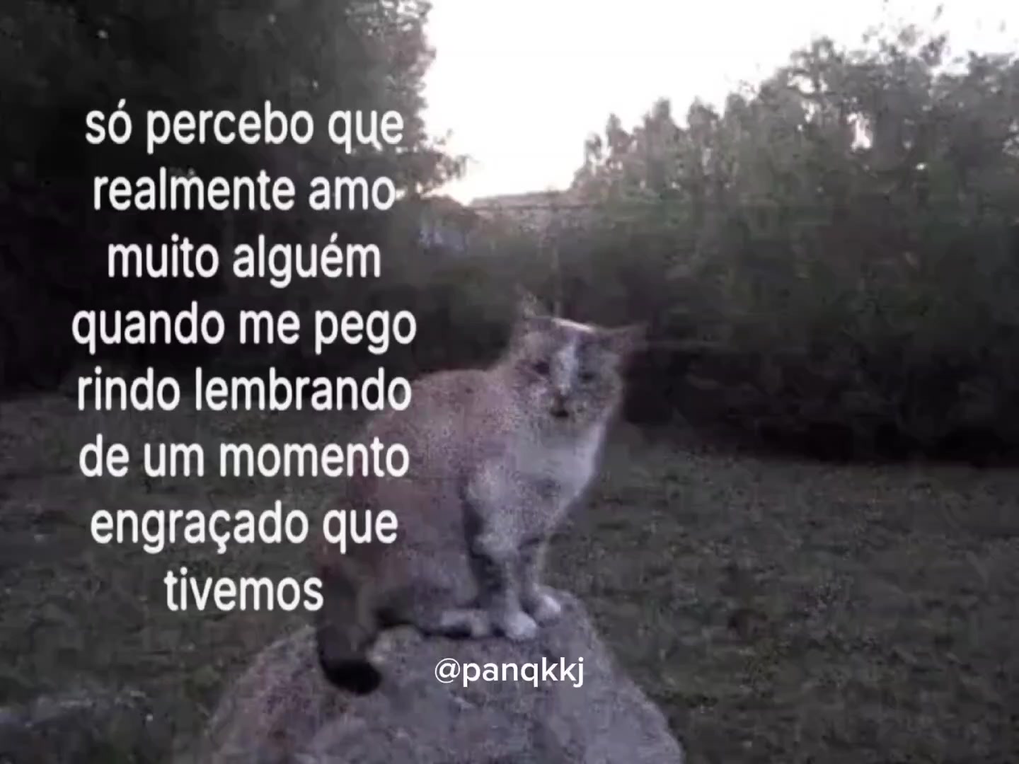@Pɑn ⚝