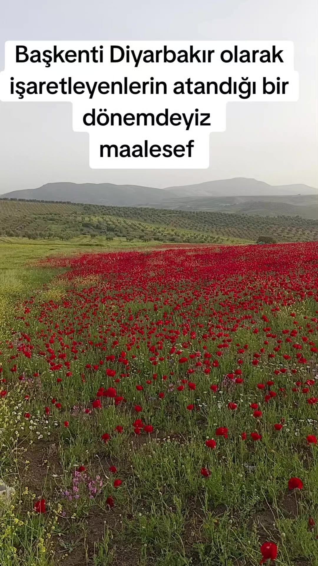 @Ramazan Korkmaz
