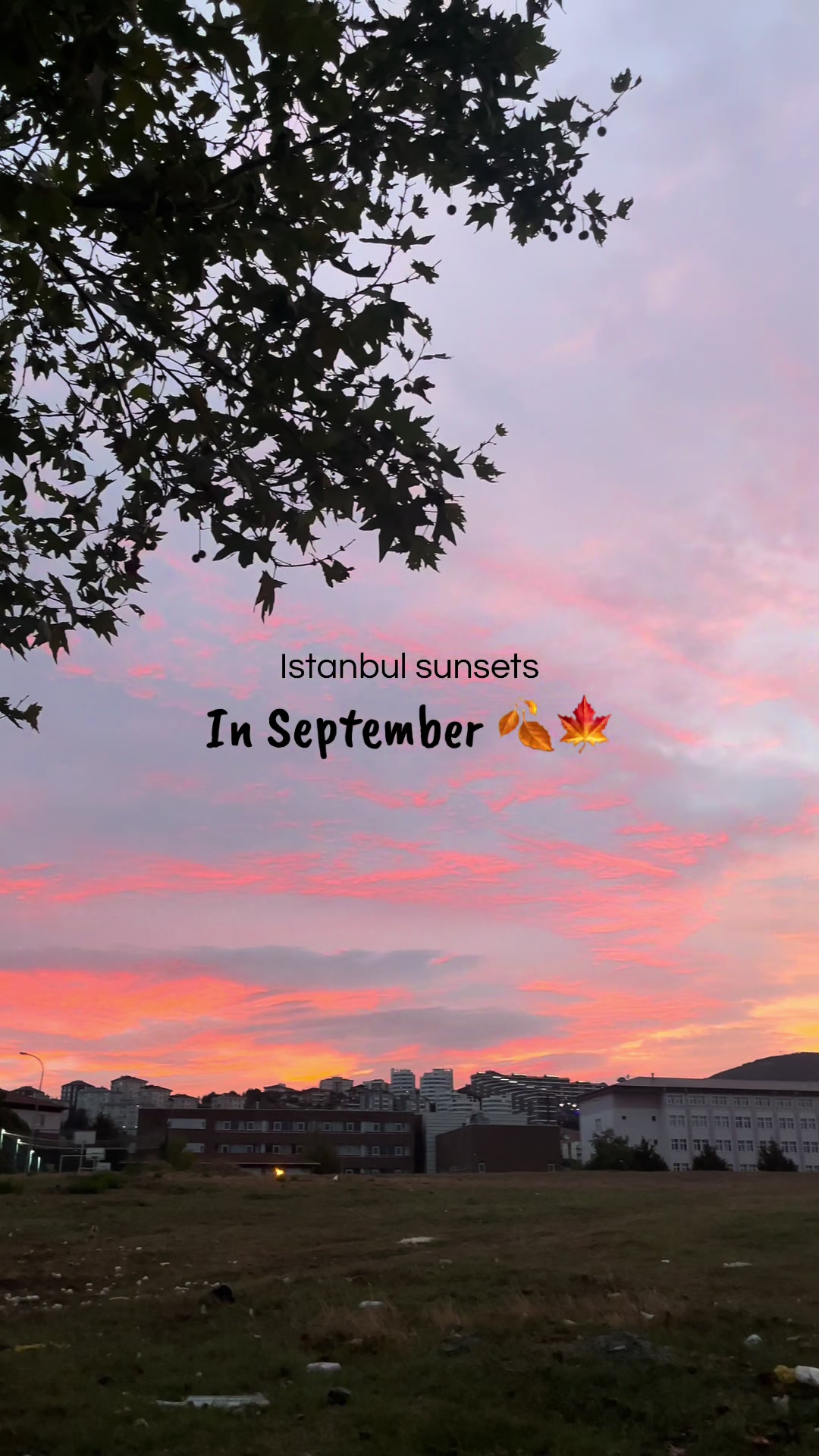 @Türkiye Diaries