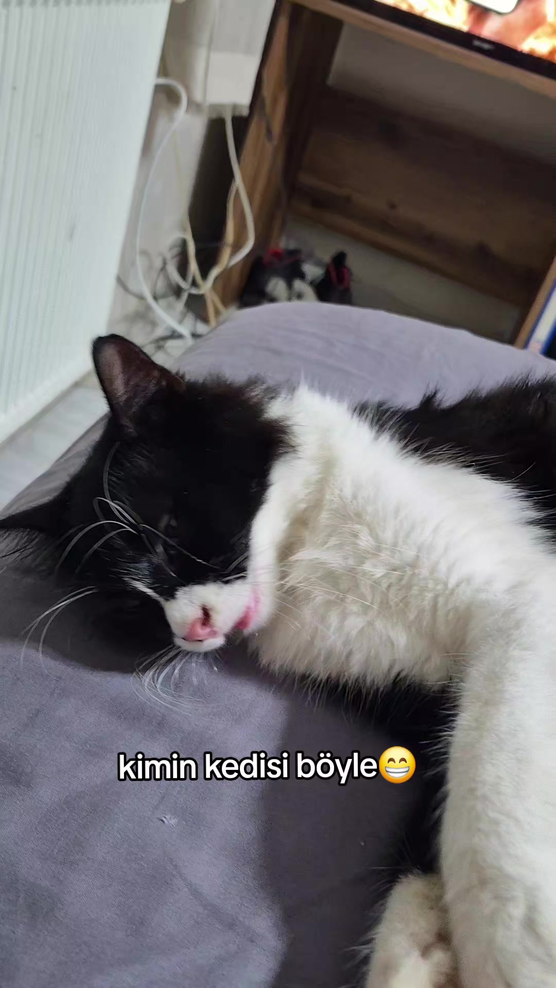 @kuzey