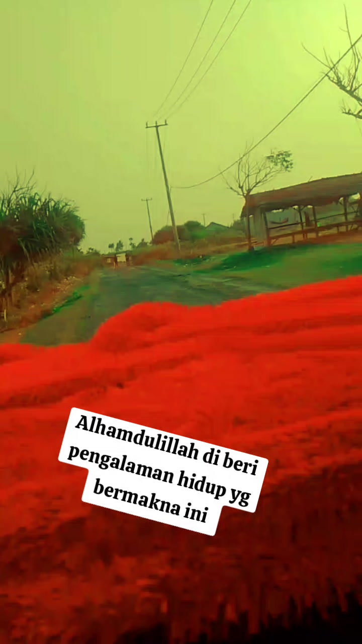 @AMBU BEJO 2025