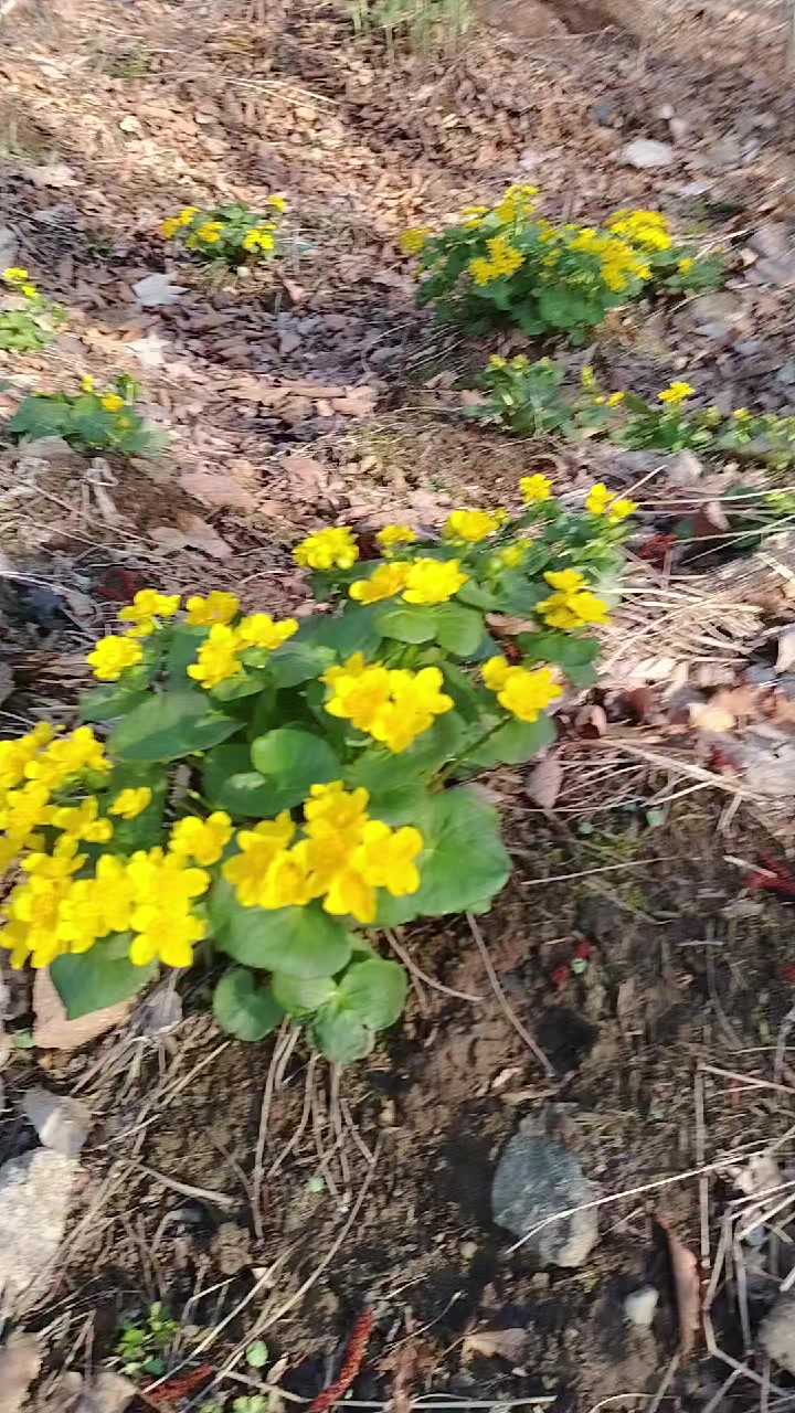 @lana.petrenko.79