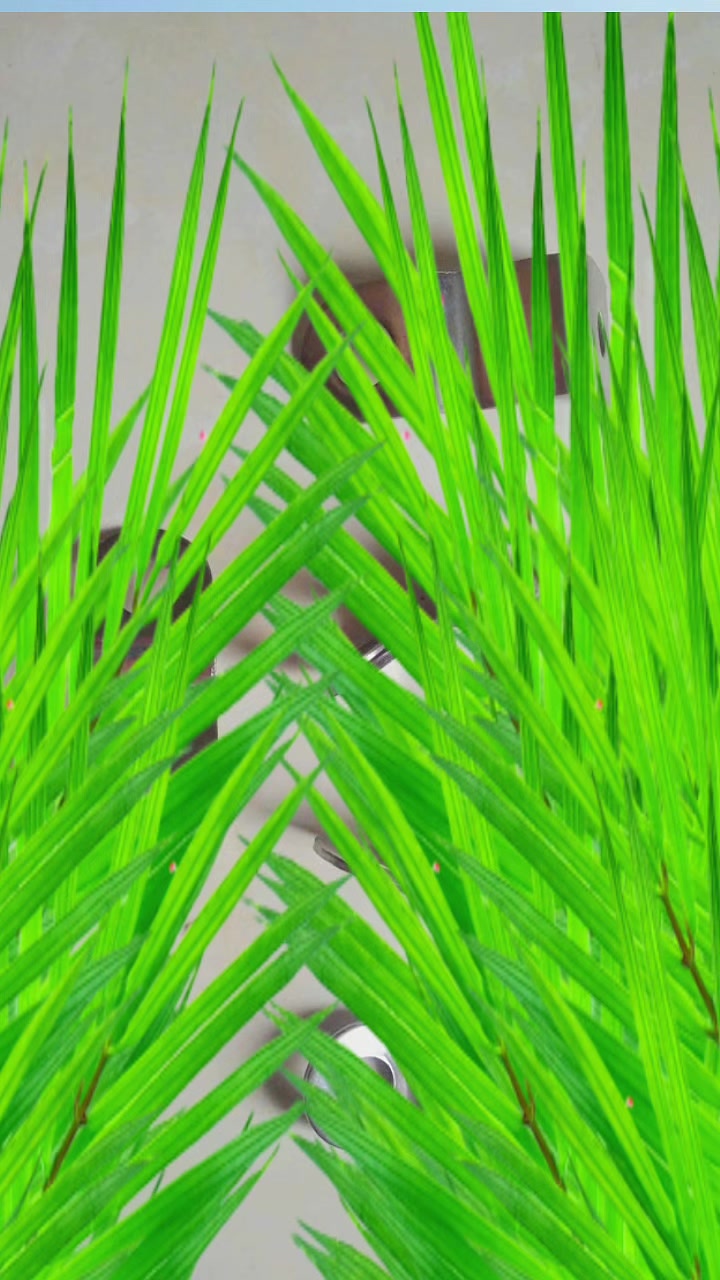 @Phụ kiện ô tô Hoàng Bách