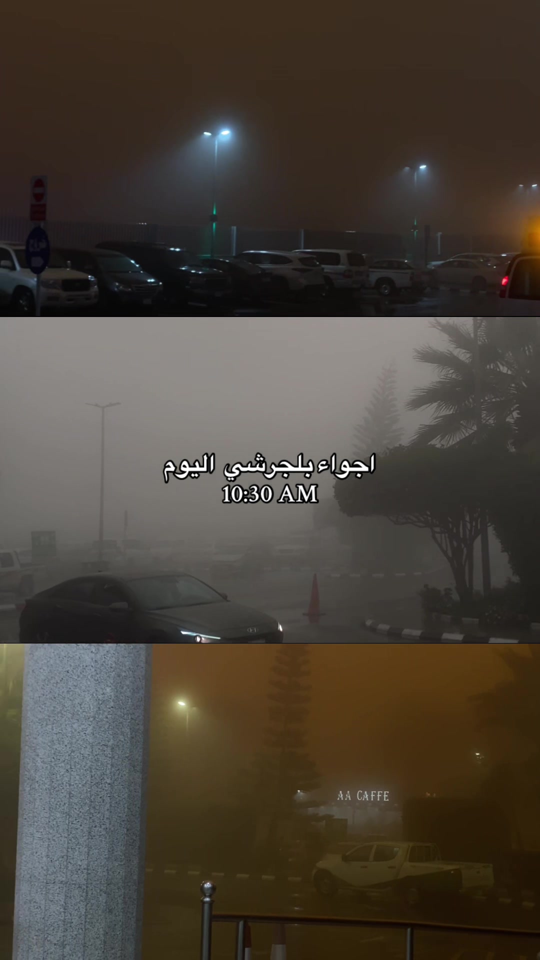 @⋆˚࿔𝐋𝐮𝐣𝐲 𝜗𝜚˚⋆
