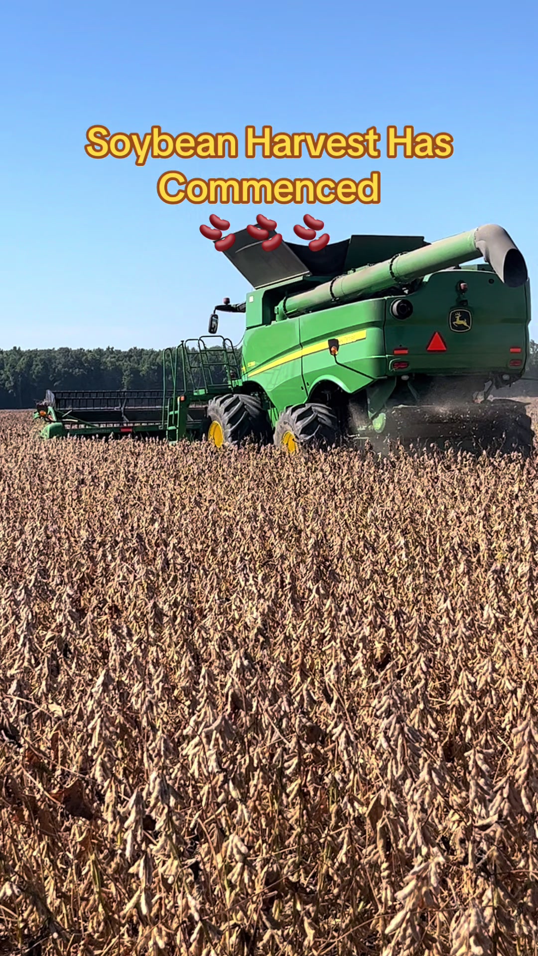 @hookfamilyfarms
