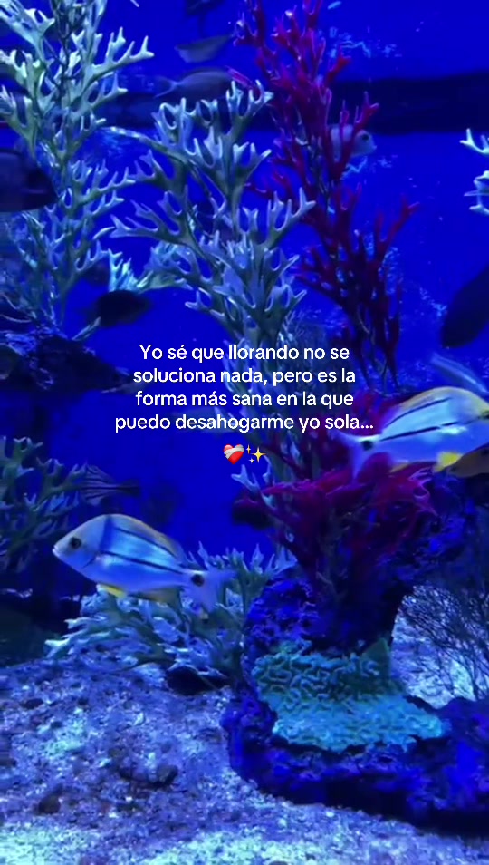 @Dani 🦢✨🩷