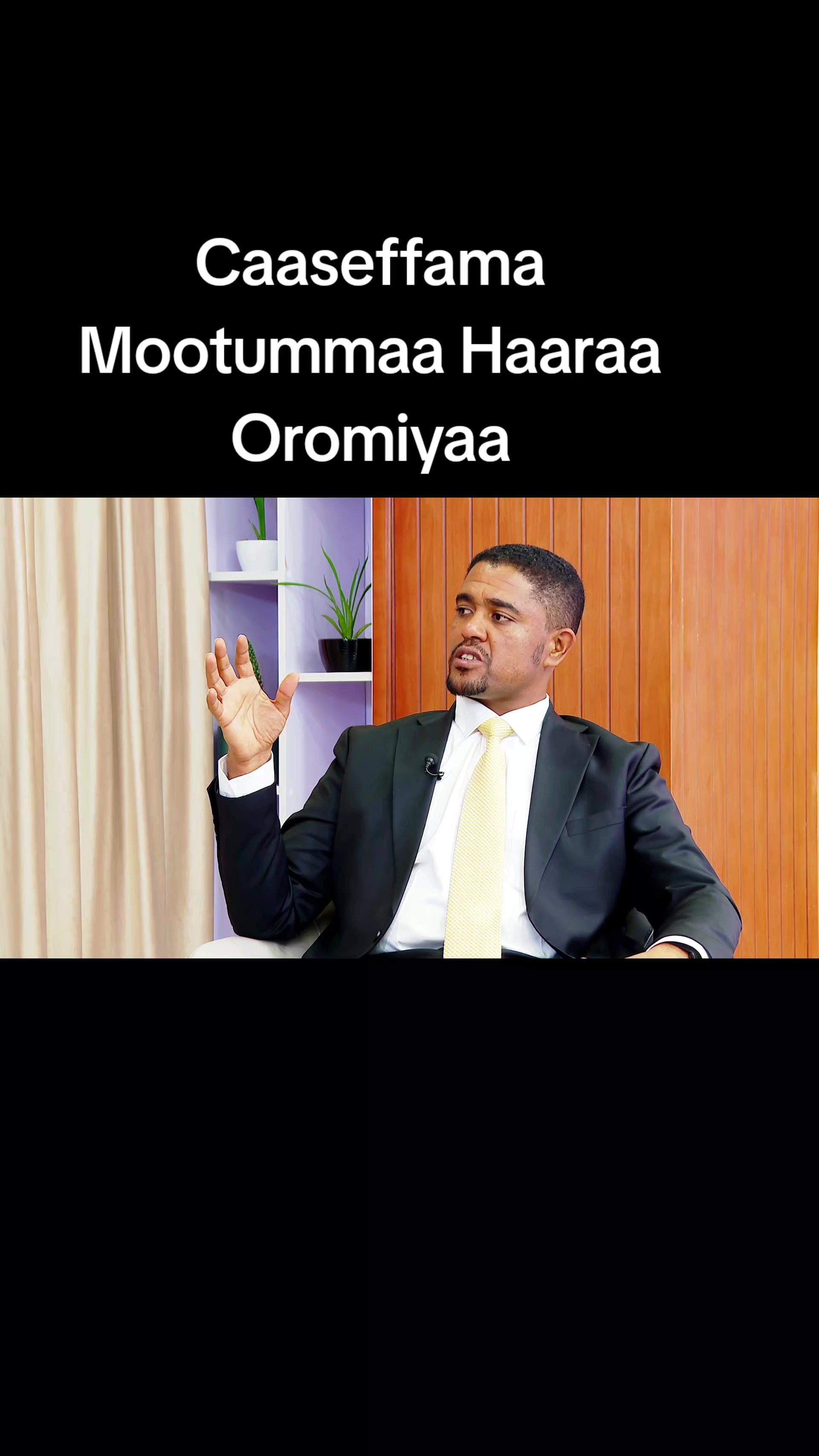 @Shimallis Abdisa Parody